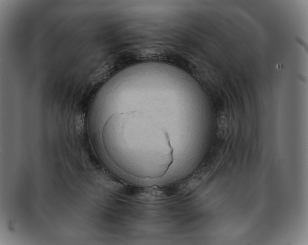 X0000091290278200708311323