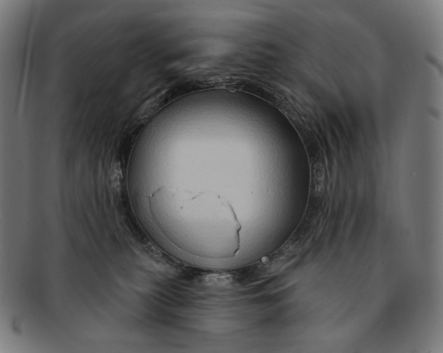 X0000091290279200708311323