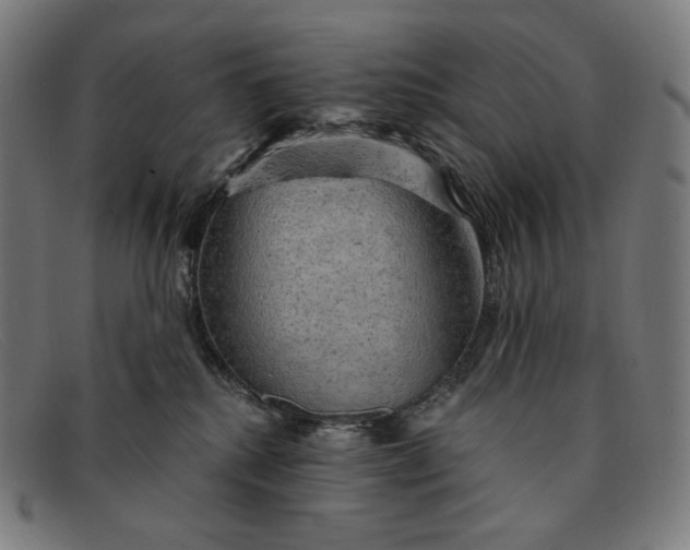 X0000091290280200708311323