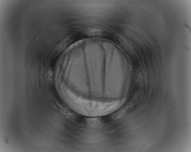 X0000091290281200708311323