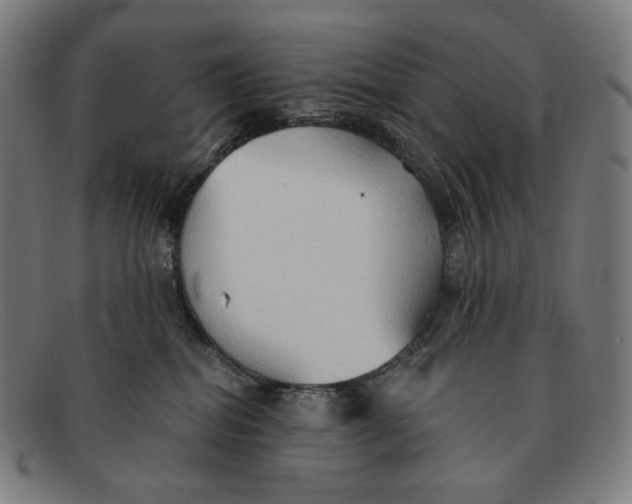 X0000091290282200708311323