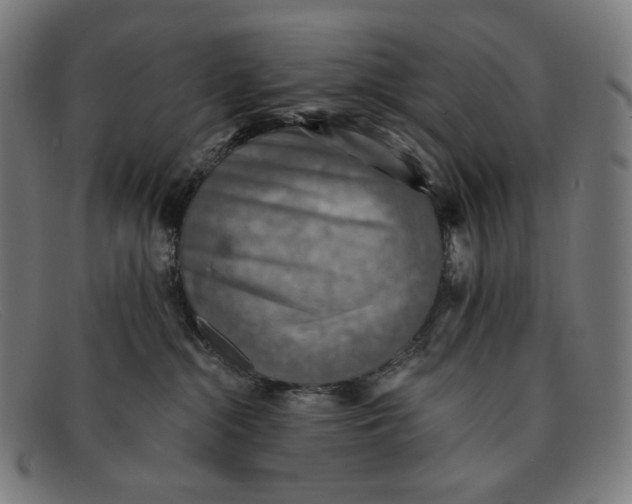 X0000091290284200708311323