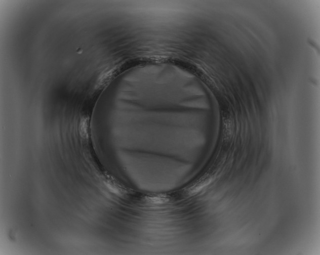 X0000091290286200708311323