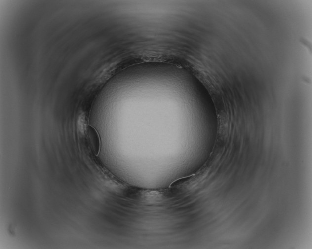 X0000091290287200708311323