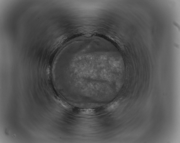 X0000091290288200708311323