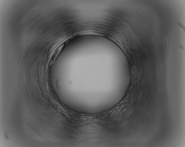 X0000091290289200708311323