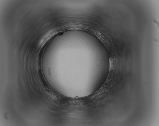 X0000091290291200708311323