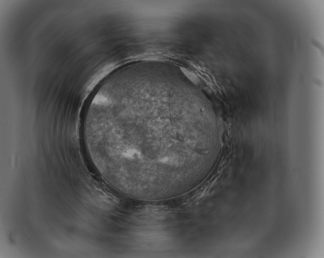 X0000091290292200708311323