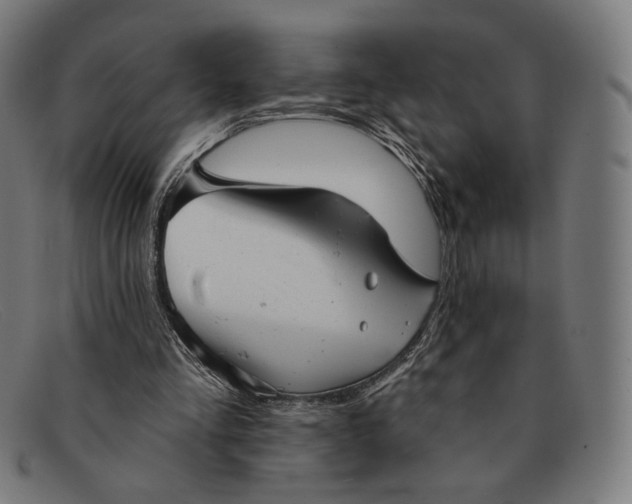 X0000091290293200708311323