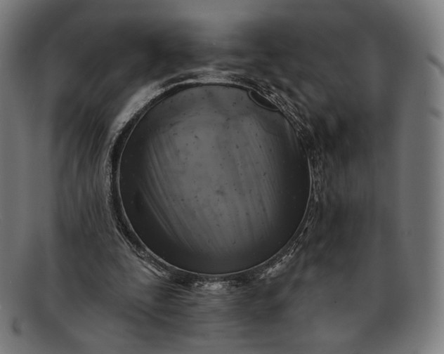 X0000091290295200708311323