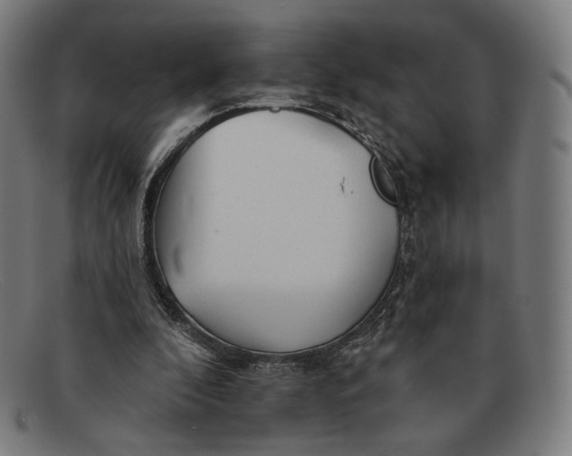 X0000091290296200708311323