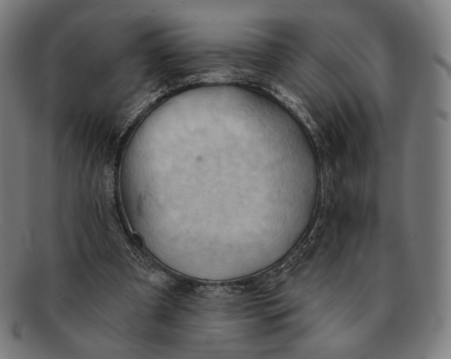 X0000091290297200708311323