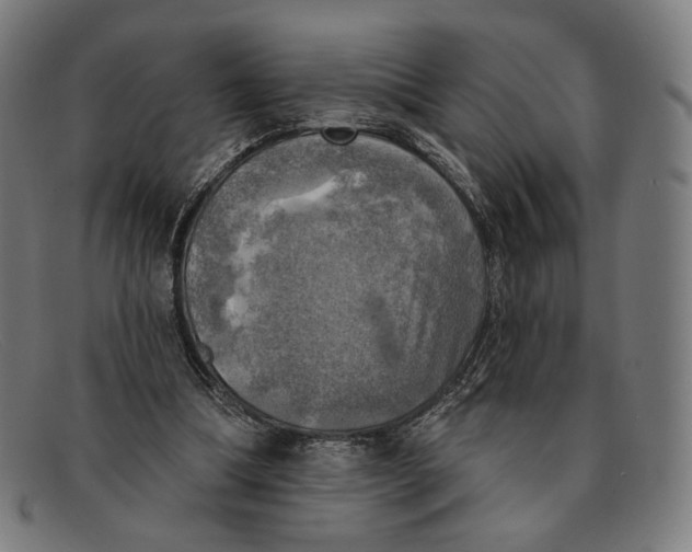 X0000091290298200708311323