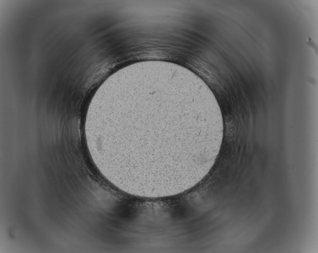 X0000091290302200708311323