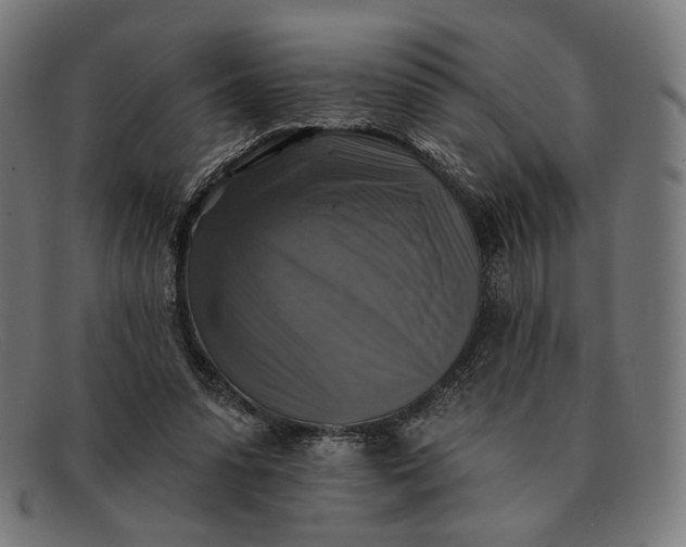 X0000091290303200708311323