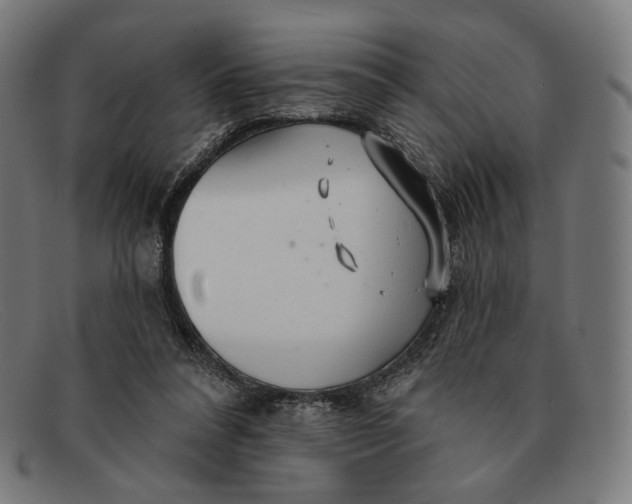 X0000091290304200708311323