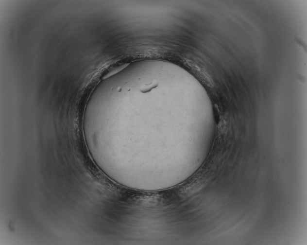 X0000091290306200708311323