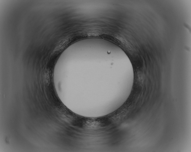 X0000091290311200708311323