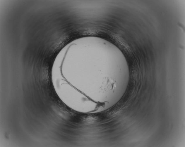 X0000091290312200708311323