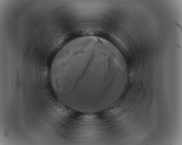 X0000091290314200708311322