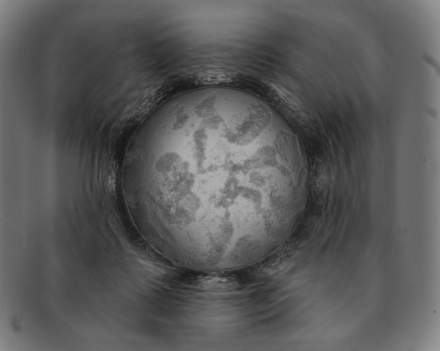 X0000091290315200708311322