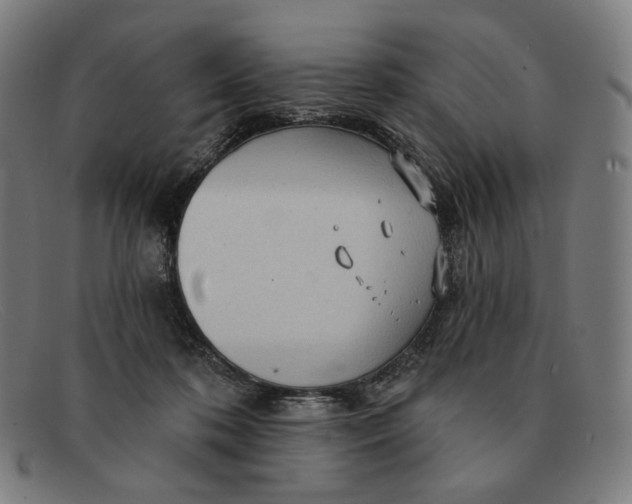 X0000091290316200708311322