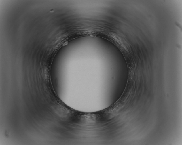 X0000091290317200708311322