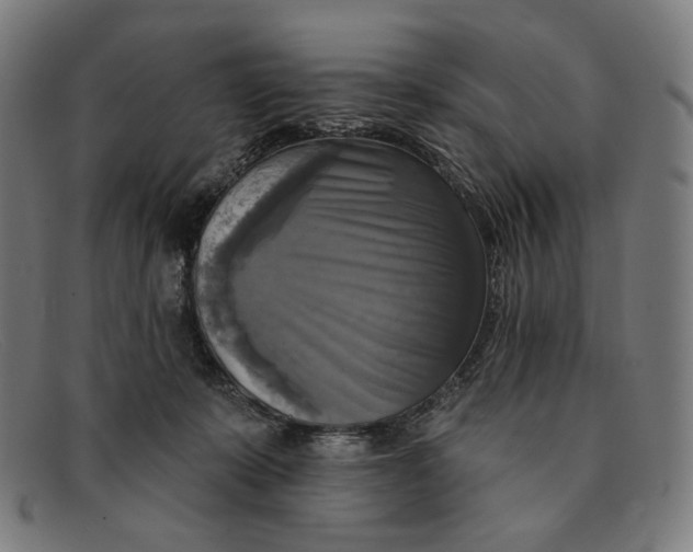 X0000091290319200708311322