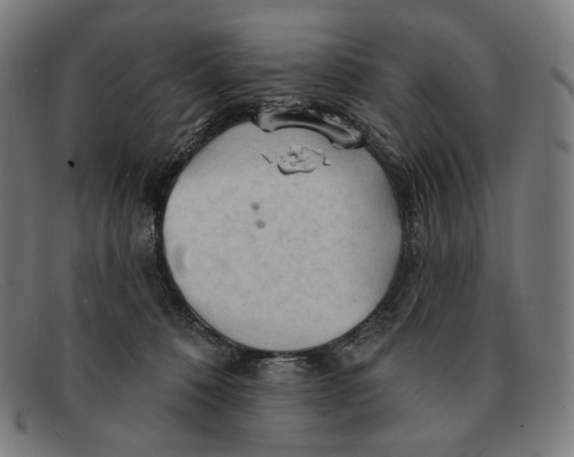 X0000091290320200708311322