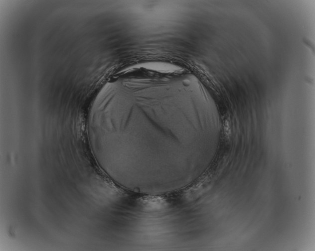 X0000091290322200708311322