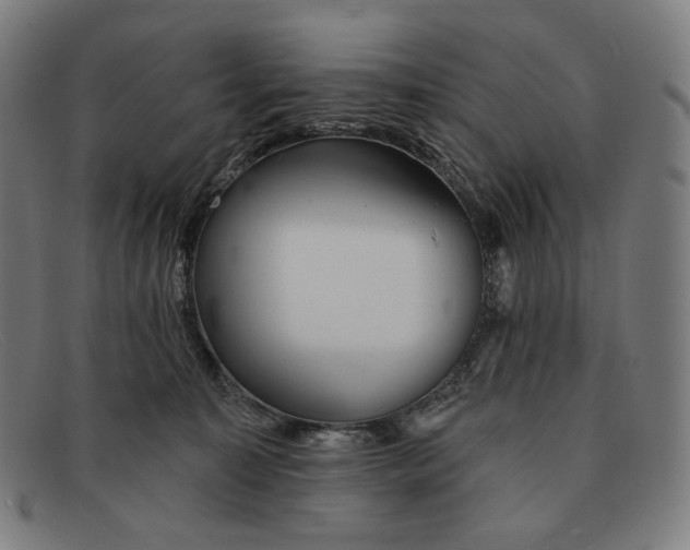 X0000091290323200708311322