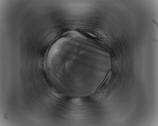 X0000091290325200708311322