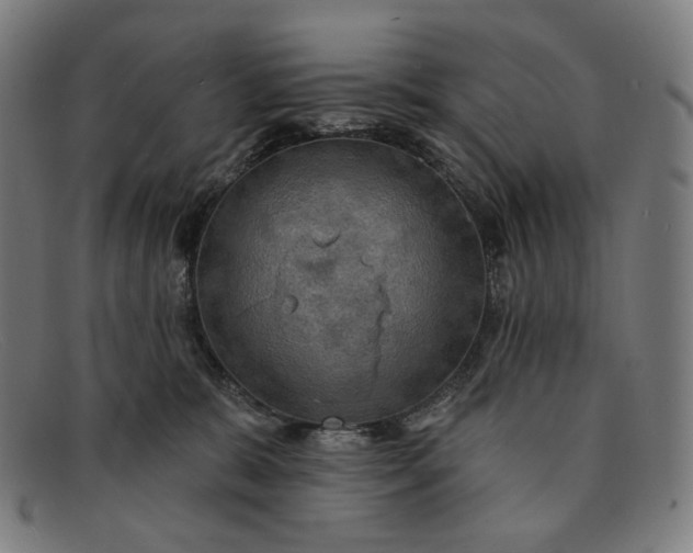 X0000091290327200708311322