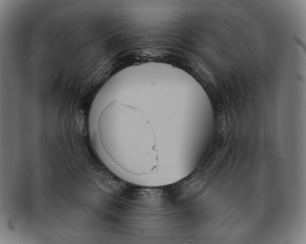 X0000091290328200708311322