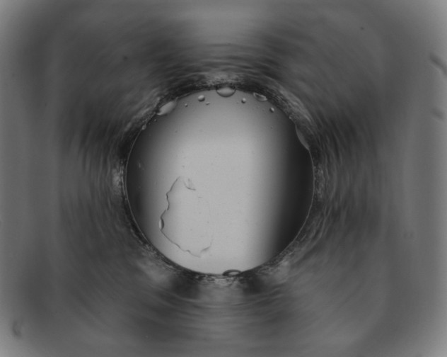 X0000091290329200708311322