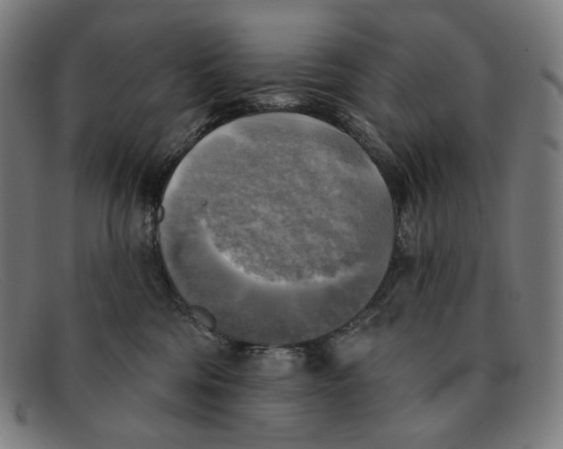 X0000091290330200708311322