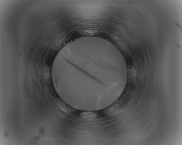 X0000091290331200708311322