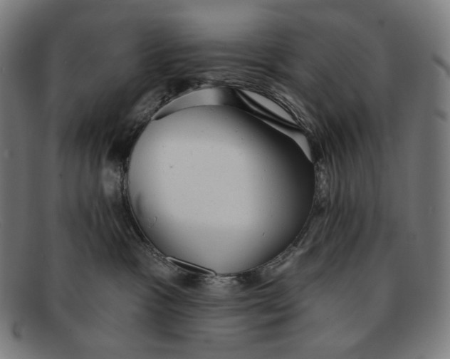 X0000091290333200708311322