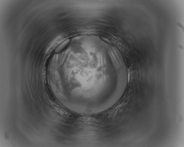 X0000091290339200708311322