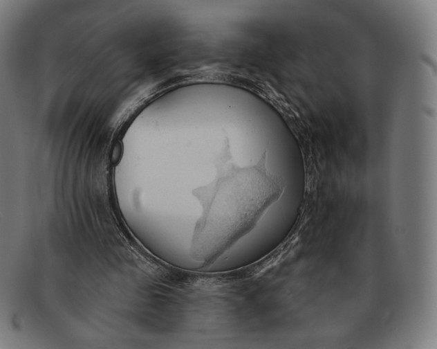 X0000091290341200708311322