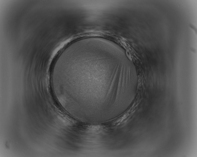 X0000091290342200708311322