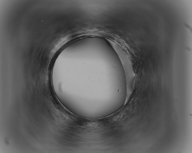 X0000091290344200708311322