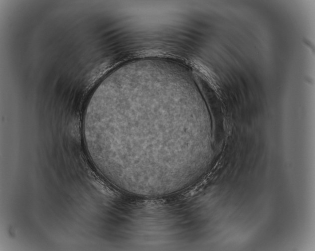 X0000091290345200708311322