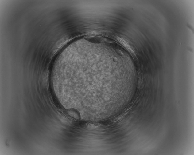 X0000091290346200708311322