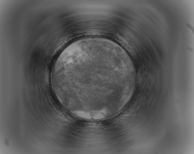 X0000091290347200708311322