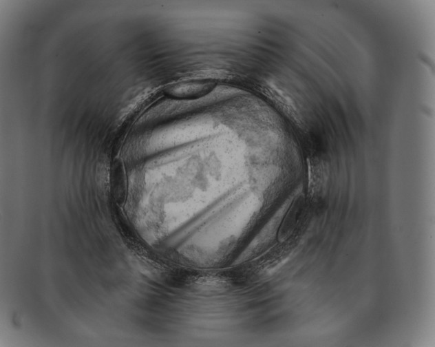 X0000091290348200708311322