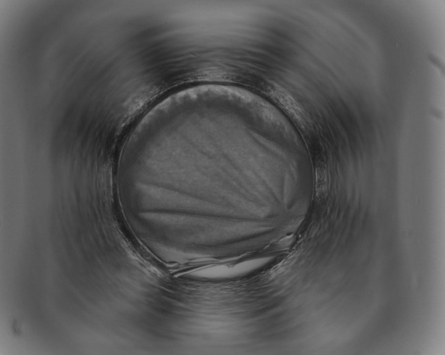 X0000091290349200708311322