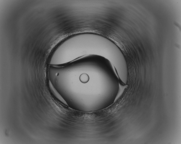 X0000091290350200708311322