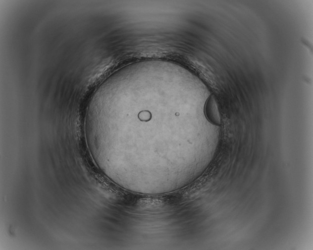 X0000091290354200708311322