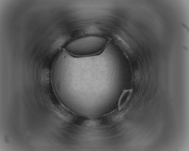 X0000091290356200708311322